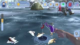Ice fishing - Ein neuer Hitzefisch - Das Eiseisangeln auf deutschem Glücksspiel-Markt